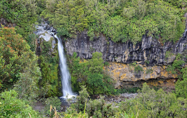 istock Dawson Falls in Taranaki NP 895385024