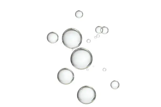 Photo of Floating bubbles