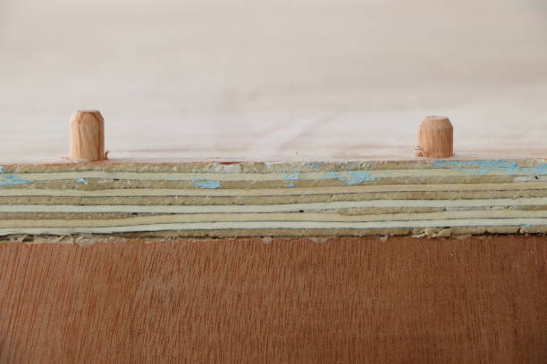 istock Making furniture; Using dowel rods to join wood 895427494
