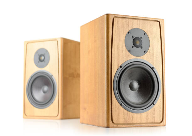 istock Two wooden speakers isolated on white background. 895433082