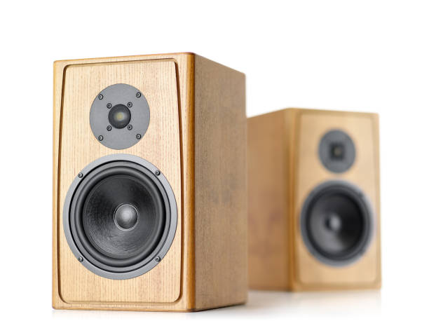 istock Two wooden speakers isolated on white background. 895433086