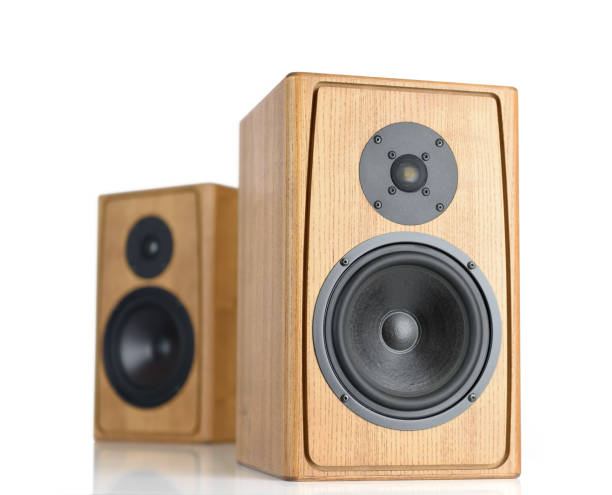 istock Two wooden speakers isolated on white background. 895433092