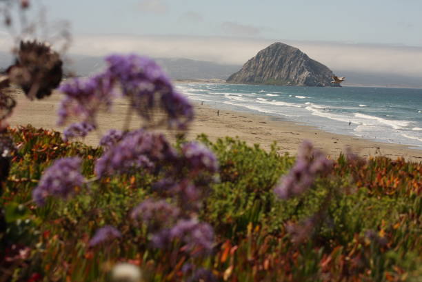 A view of Morro Rock in Morro Bay, California, USA