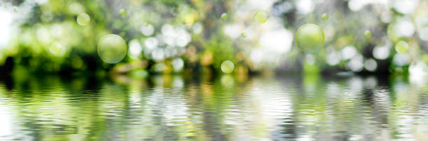 istock image of beautiful abstract natural background. 895454298