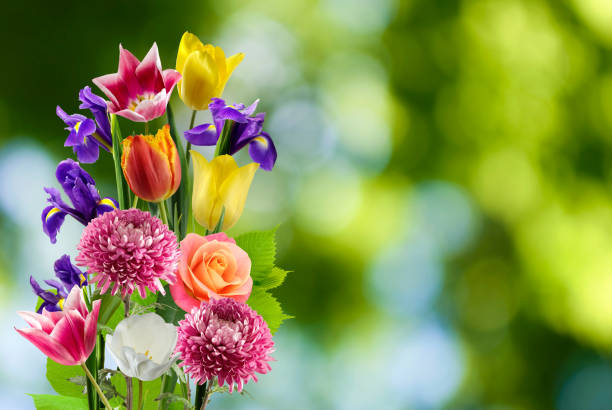 Roses, chrysanthemums