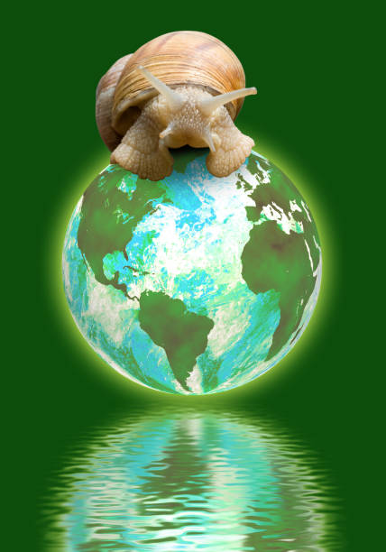 image of snail on the globe over the water