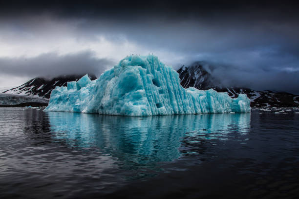 istock Blue iceberg floating in the Hornsund Spitzbergen 895466008