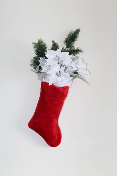 istock Christmas stocking filled with white flowers and pine 895466138