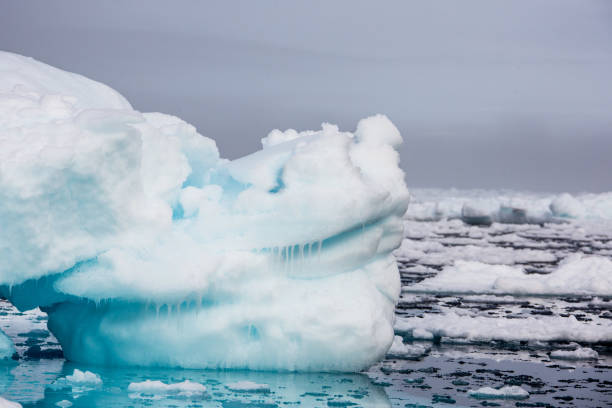 istock Blue iceberg floating in the Hornsund Spitzbergen 895466158
