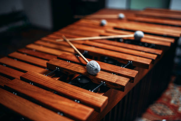 istock Xylophone closeup, wooden percussion instrument 895466238