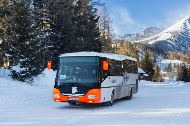 Tourist bus in Strbske Pleso. STRBSKE PLESO, SLOVAKIA - JANUARY 05, 2015: Tourist bus in Strbske Pleso. The village is a favorite ski, tourist, and health resort in the slovakian part of High Tatras mountains. pleso stock pictures, royalty-free photos & images