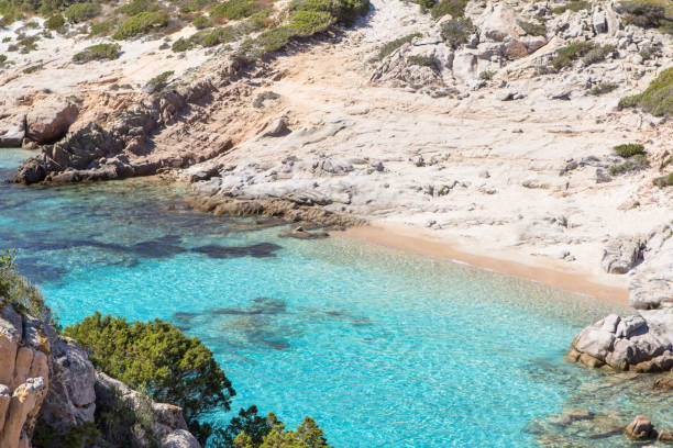 istock Cala Corsara Beach, Sardinia island, Italy 895472408