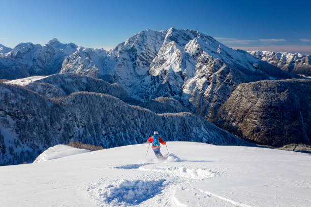 skitouring 다운 힐-watzmann-국립공원 berchtesgaden 스키 분말 - european alps cold mountain range clear sky 뉴스 사진 이미지