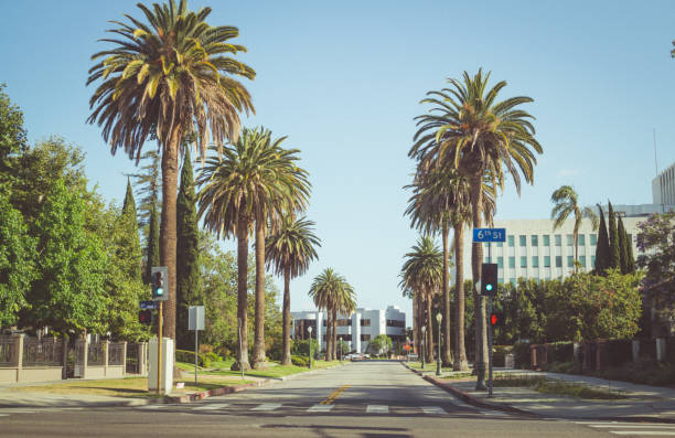 strade di los angeles. strada moderna in una zona residenziale di santa monica. viaggiare in california - santa monica beach california house foto e immagini stock