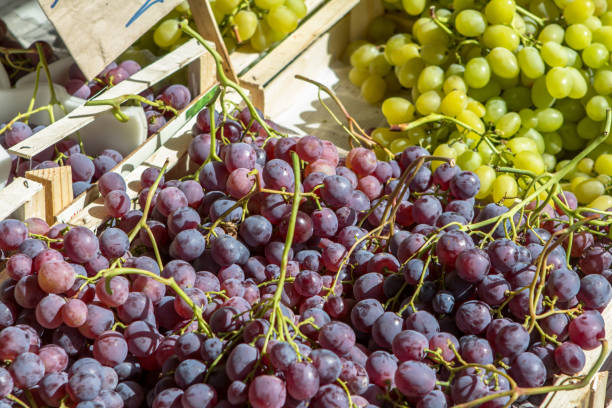 istock Grapes on the market 895507488