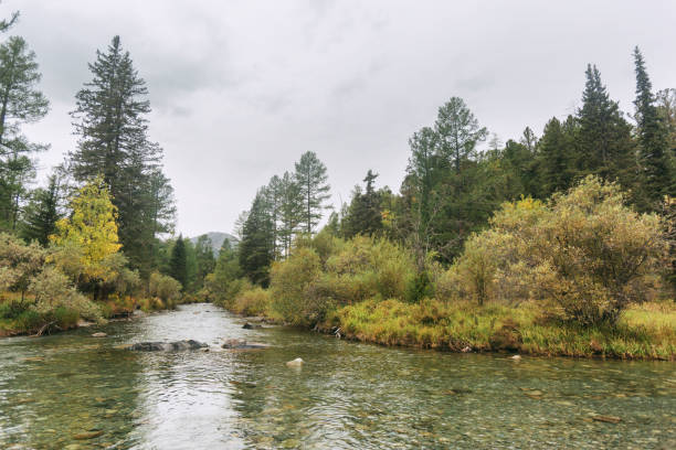 istock River. Altai Mountains landscape. Autumn 895509316