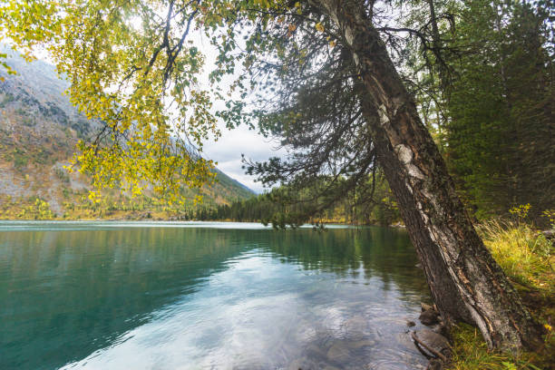 istock Lower Multinskoe lake. Altai mountains landscape 895510658