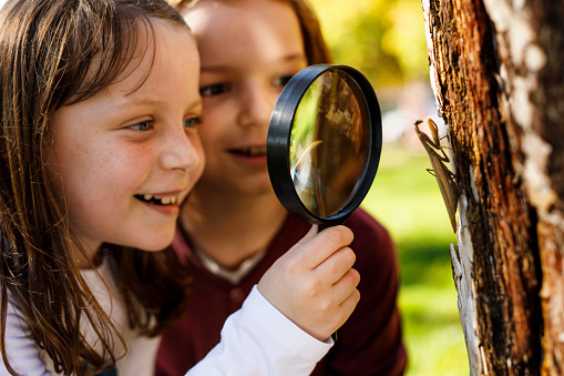 School children exploring insects