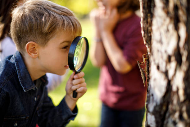 istock Cute little boy enjoys discovering nature 895519902