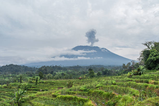 istock Agung volcano eruption view near rice fields, Bali, Indonesia 895523340