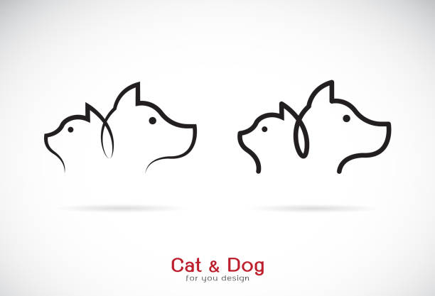 bildbanksillustrationer, clip art samt tecknat material och ikoner med vektor av en hund och katt design på vit bakgrund. petshop. djur-ikonen. - katt thai