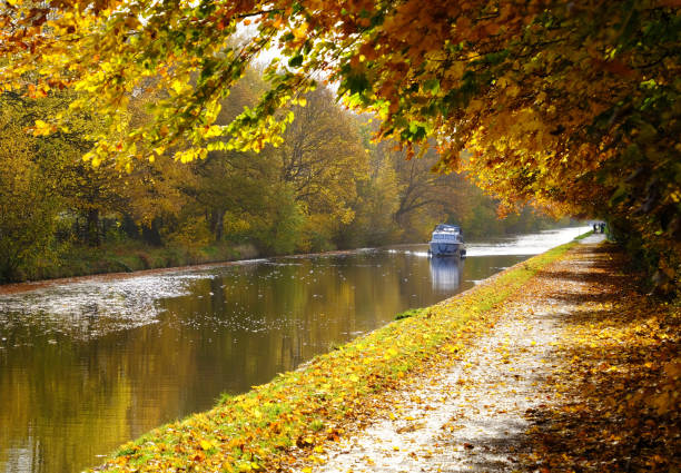 Autumnal Canalside Scene stock photo