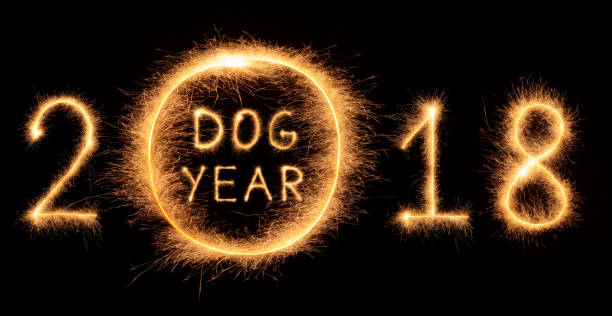 istock 2018 DOG YEAR lettering drawn with bengali sparkles 895529944