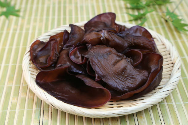 istock Jew's Ear Fungus 895542728