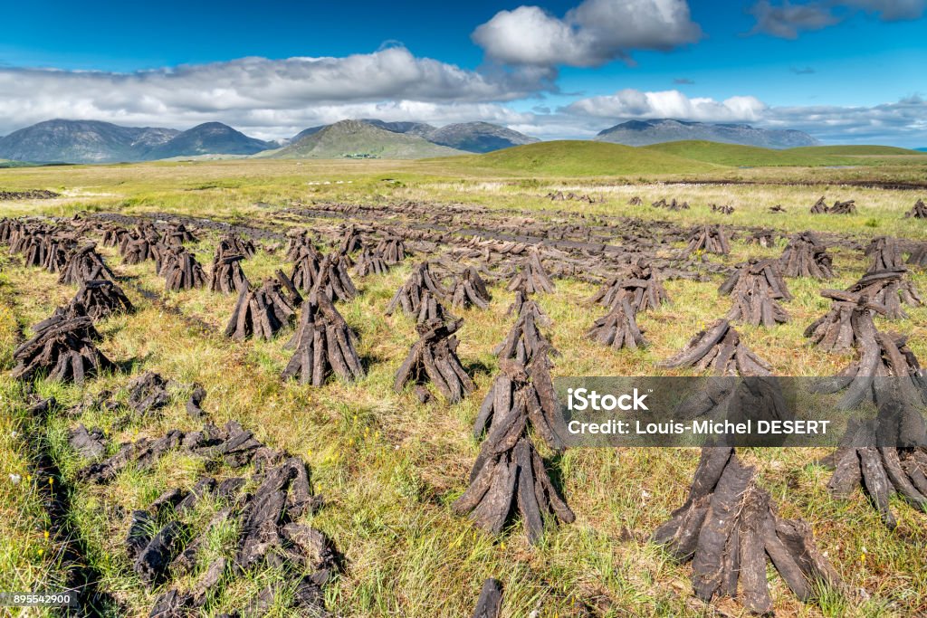 Peat field Pyramids of peat drying in the sun of Connemara Peat Stock Photo
