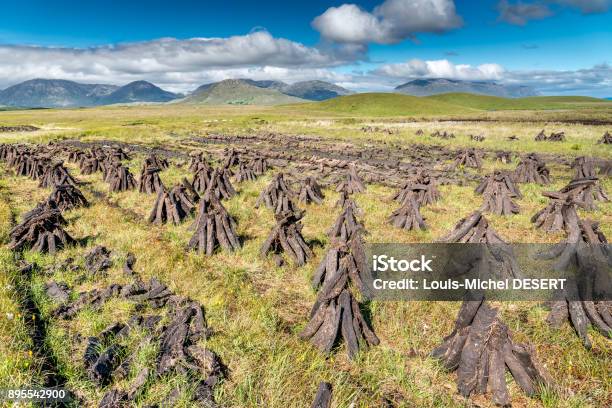 Peat Field Stock Photo - Download Image Now - Peat, Ireland, Turf