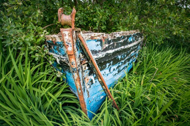 istock Wreck on the seaside of Connemara 895544574