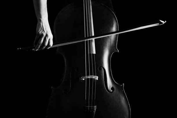 istock Beautiful brunette playing a cello with selective light in black dress artistic conversion 895557096