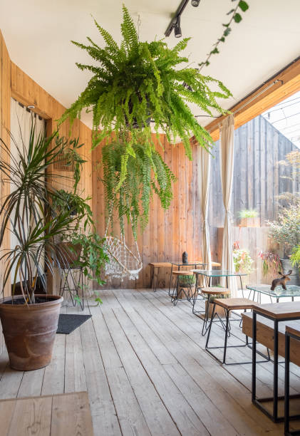 istock Room interior wooden beautiful 895566474