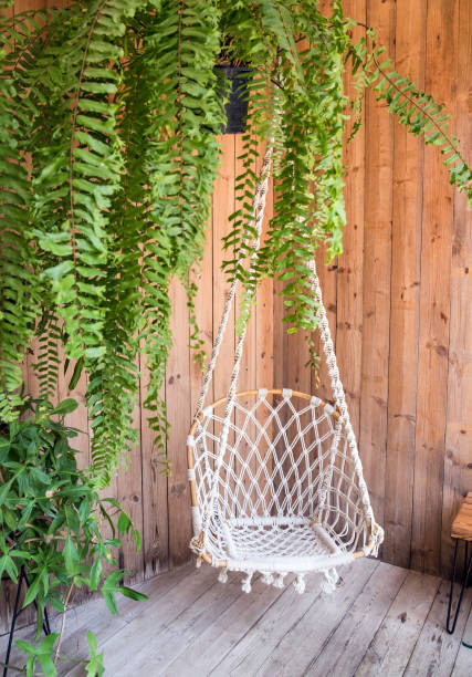 istock Corner swing hold and plant decorate interior 895566494