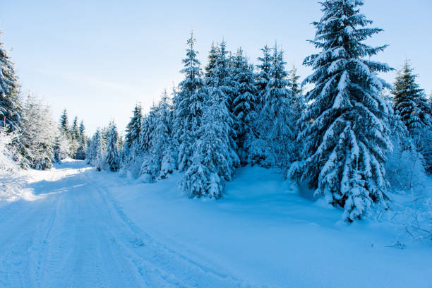 istock beautiful winter landscape on a sunny day 895570984