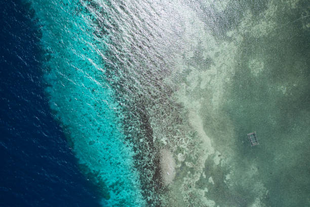 istock Shoot the view of Cebu Island from the sky 895589970