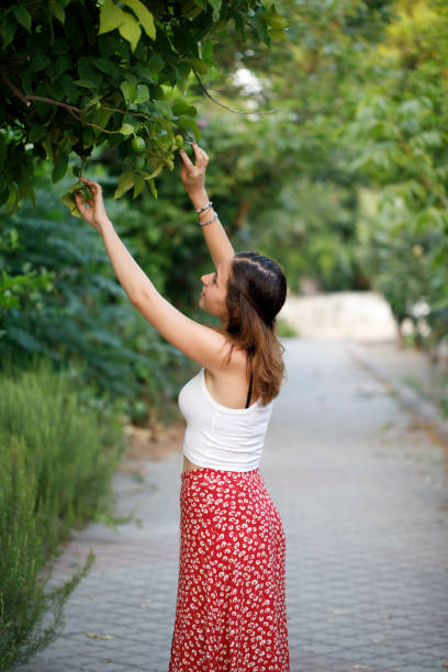 istock Beautiful Young Woman Touching Lemon Tree 895595072