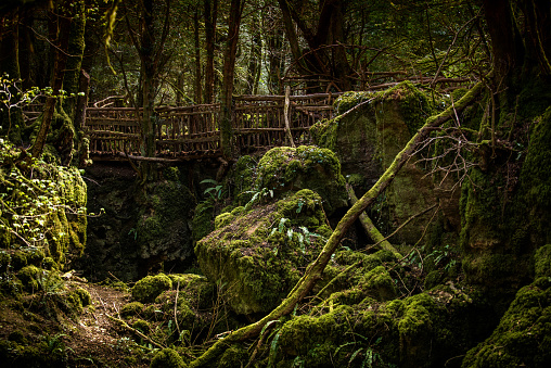 A footbridge at Puzzlewood, Forest of Dean