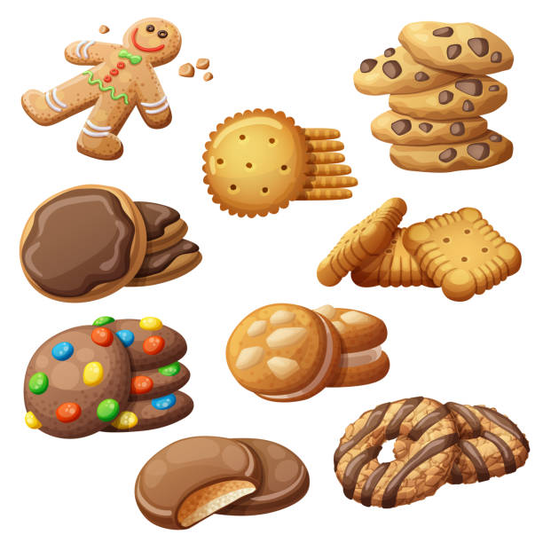 ilustrações de stock, clip art, desenhos animados e ícones de set of delicious cookies. cartoon vector illustration. food sweet icons isolated on white background - cookie chocolate chip cookie chocolate isolated