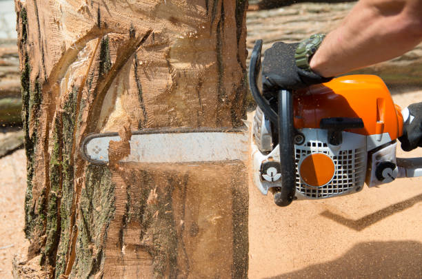 istock Master makes the saw wood sculpture 895600208