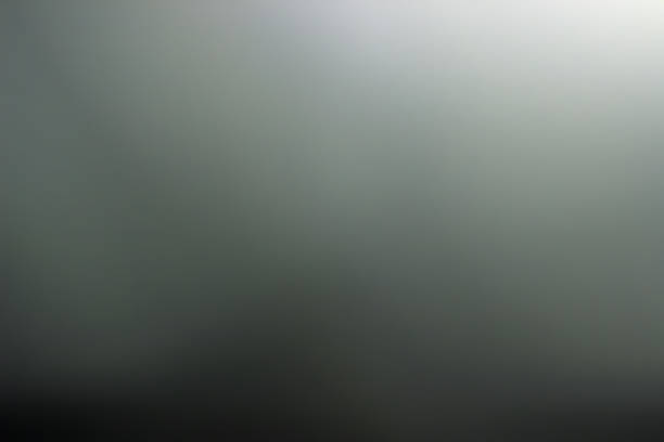 istock black and white gradients for creative project. picture from Dslr cameras that take off the lens. 895603336