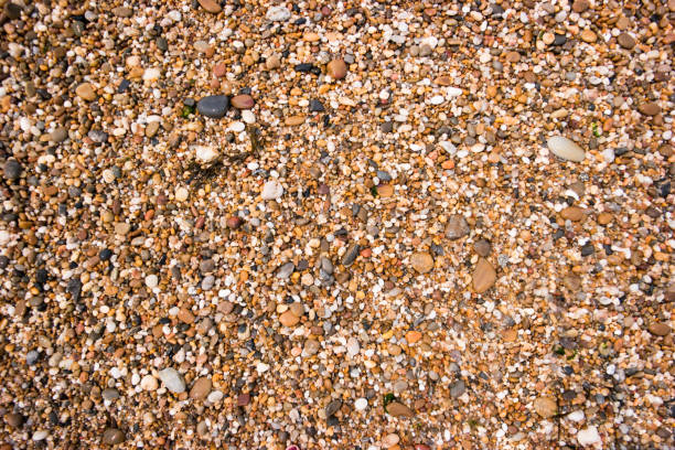 istock Pebble beach from the Portugese coast 895606470