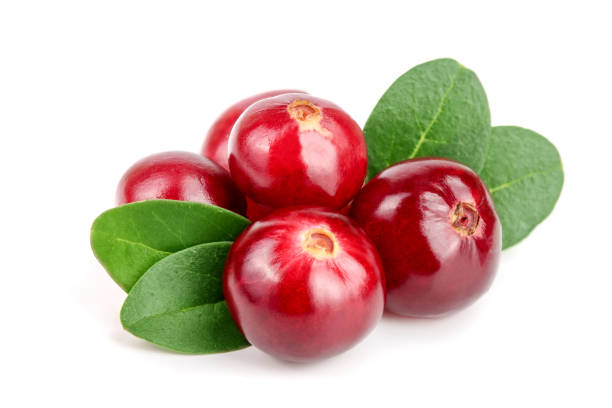 istock Cranberry with leaf isolated on white background closeup macro 895606942
