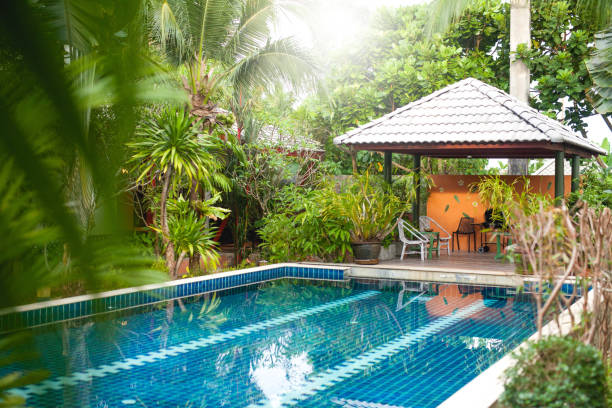 istock house in the garden 895612792
