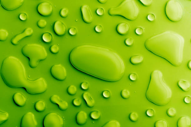 istock water drops on green background 895613354