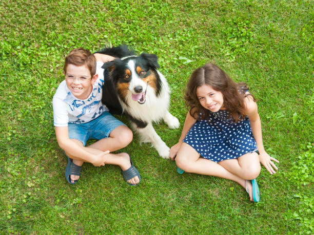 istock Children sitting on grass with their dog 895614350
