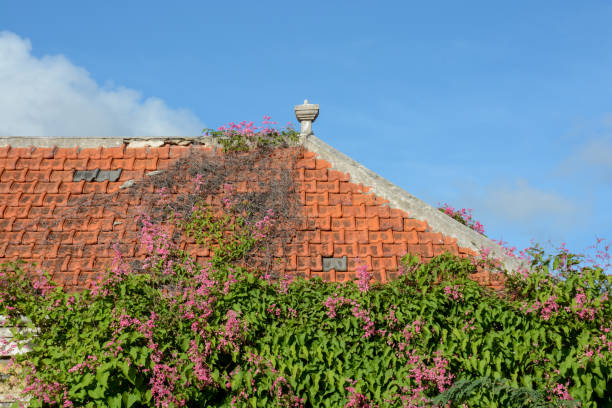 istock Curacao's colorful colonial architecture 895614484