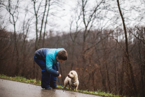 istock Little boy teaching dog some tricks 895617956