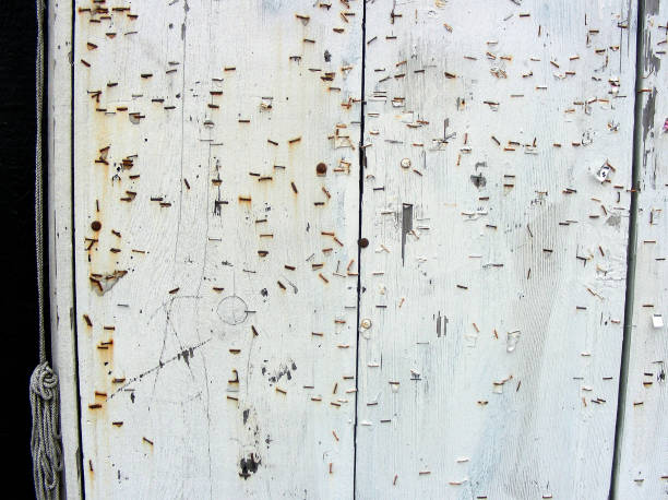 WHITE WALL WITH RUSTY STAPLES stock photo