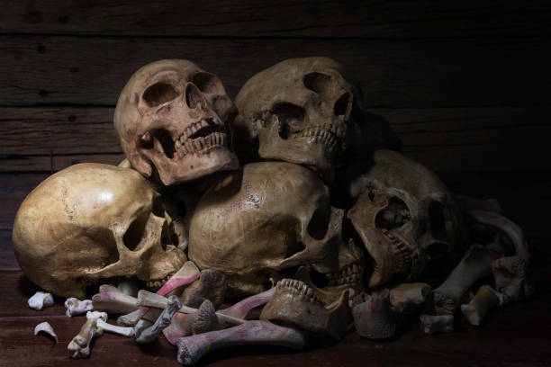 istock Skulls on  pile straw in the old barn / Still Life image and Selective focus 895633818